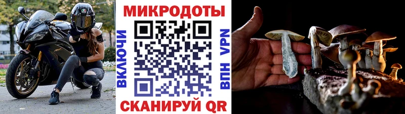 hydra зеркало  Минусинск  мориарти телеграм  Псилоцибиновые грибы прущие грибы 