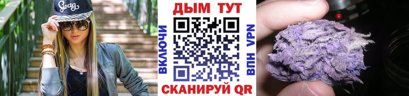 Бошки Шишки семена  купить наркоту  Минусинск 